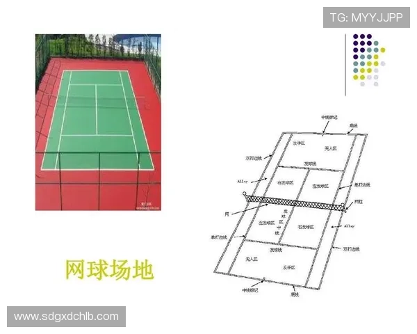 杭州网球队阵地战体系解析与战术应用探讨 杭州网球队阵地战体系解析与战术应用探讨