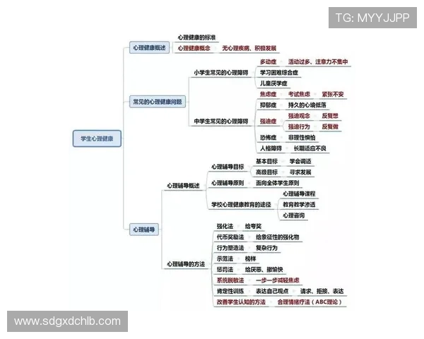 杭州足球队在全国锦标赛中的心理素质分析与表现评估