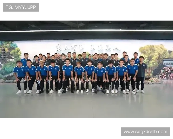 深圳足球队的奋进之路：一段激情与荣耀交织的纪实故事