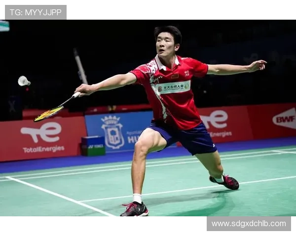 深圳羽毛球队的盯防策略揭秘与深度分析