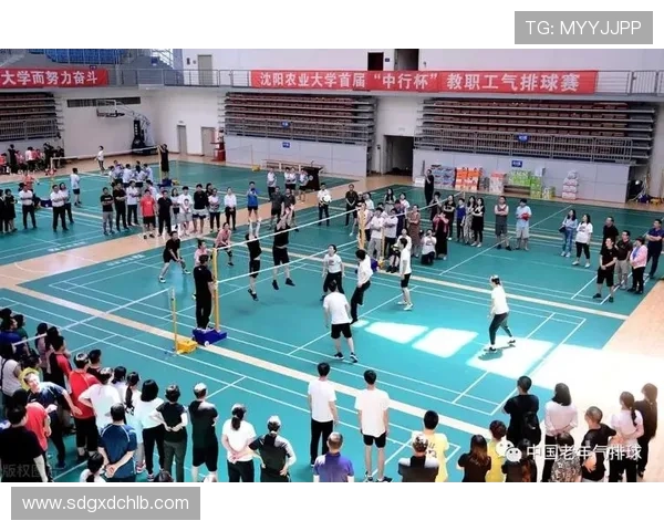 武汉排球队防反体系解析与战术创新研究 武汉排球队防反体系解析与战术创新研究
