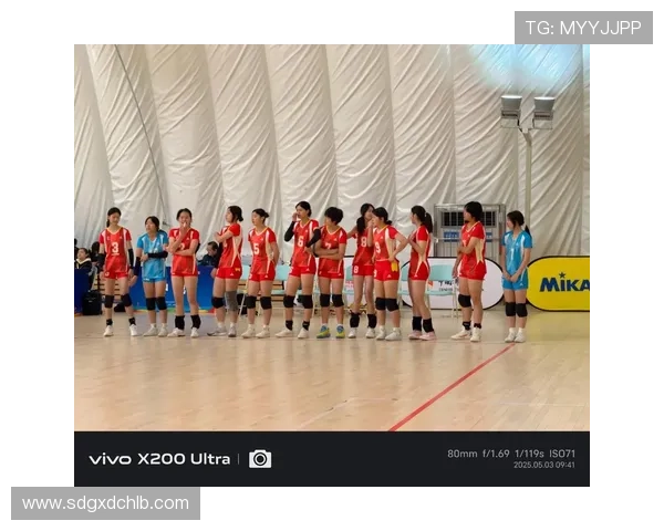 重庆排球队实力深度剖析与对比探讨全景分析 重庆排球队实力深度剖析与对比探讨全景分析