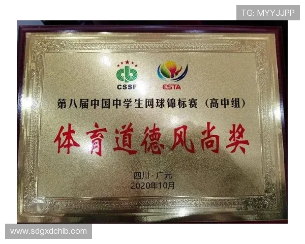 重庆网球队实力崛起荣登全国网球实力排行榜第十名 重庆网球队实力崛起荣登全国网球实力排行榜第十名