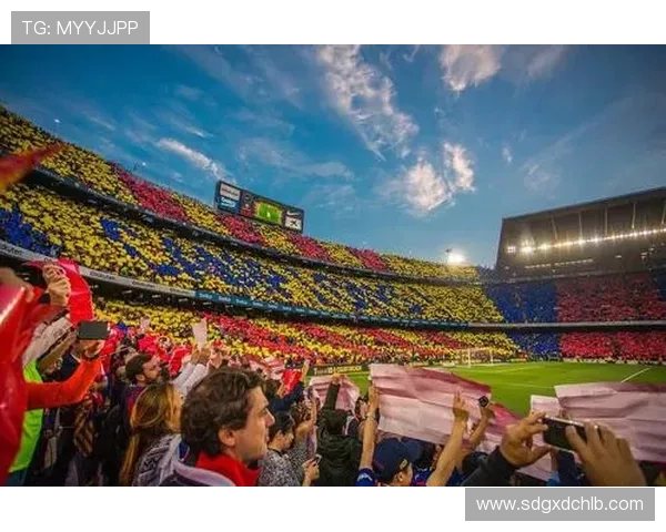 国际足球明星联赛盛况空前球迷热情高涨共庆足球盛宴 国际足球明星联赛盛况空前球迷热情高涨共庆足球盛宴