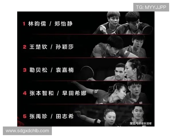 杭州排球队以96分领跑大满贯积分榜展现强劲实力 杭州排球队以96分领跑大满贯积分榜展现强劲实力