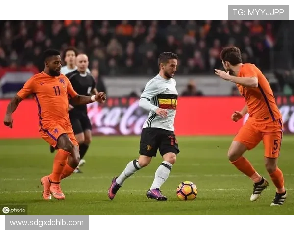 武汉足球队运营分析:成功经验与教训的深度剖析与反思 武汉足球队运营分析:成功经验与教训的深度剖析与反思