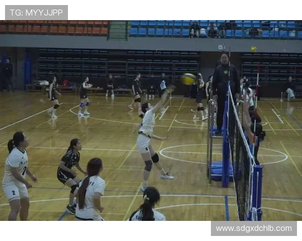 南京排球队团队协作的力量与精神探索排球竞技中的默契与合作