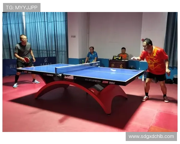 赵丽独家分享乒乓球技巧与心得助你提升球技的秘诀与经验