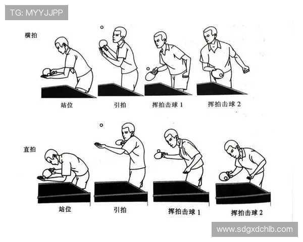 南京乒乓球队总决赛战术分析与表现评估全面解读