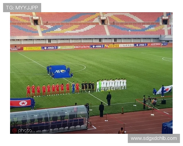 南京羽毛球队在世界杯预选赛中的技术表现分析与点评