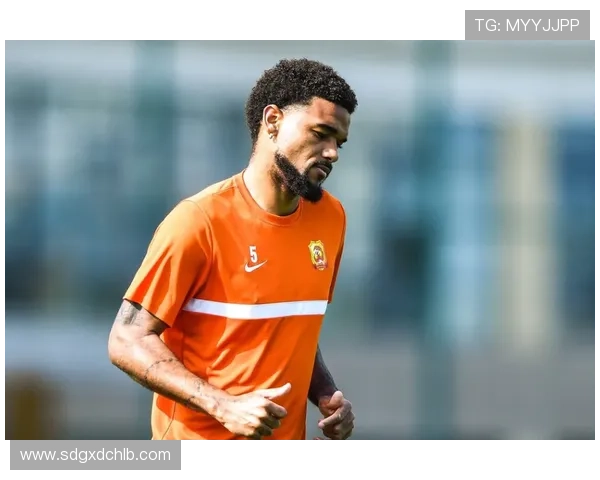 武汉羽毛球队防守革新之路：从传统到现代的转型与挑战