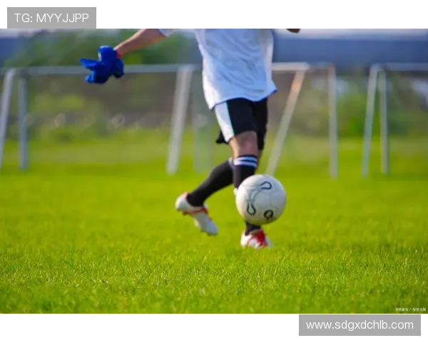 与足球明星面对面走近他们的生活与梦想