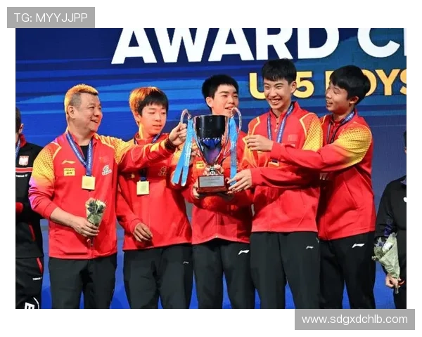 乒乓球团队协作实力榜单揭晓北京乒乓球队荣获第三名殊荣